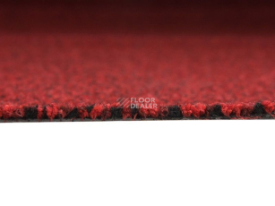 Vebe Alba Pc Alba pvc 40 фото 3 | FLOORDEALER